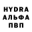 Каннабис индика William Young